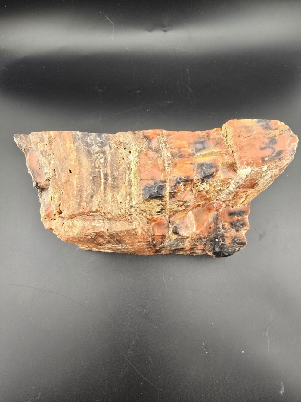 Petrified Wood Fossil Specimen With Rich Red & Black Hues, Polished/Raw -2.1 lbs - Picture 3 of 16